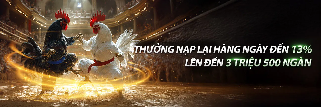 Sân đấu gà trực tuyến kịch tính tại T68BET Nhà Cái