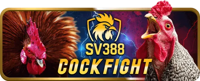 Ưu Đãi Đặc Biệt t68bet nhà cái